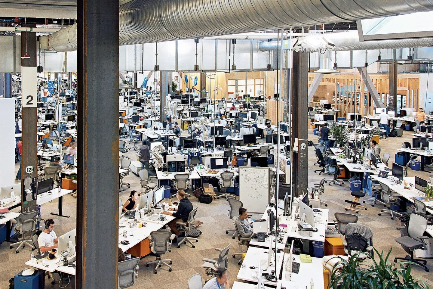 The Open Office Concept: What Went Wrong and Can It be Fixed? | Mute –  Acoustic solutions for good workspace